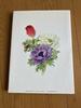 [USED] Botanical Art Collection KAHO SAWADA