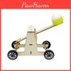Wooden Diy Catapult Science Experiment Model Toy For Kindergarten Kids Educational Handmade Crafts