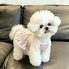 Comfortable Breathable Pet Princess Dress Floral Print Pet Vest New Puppy Dress  Spring Summer Wear