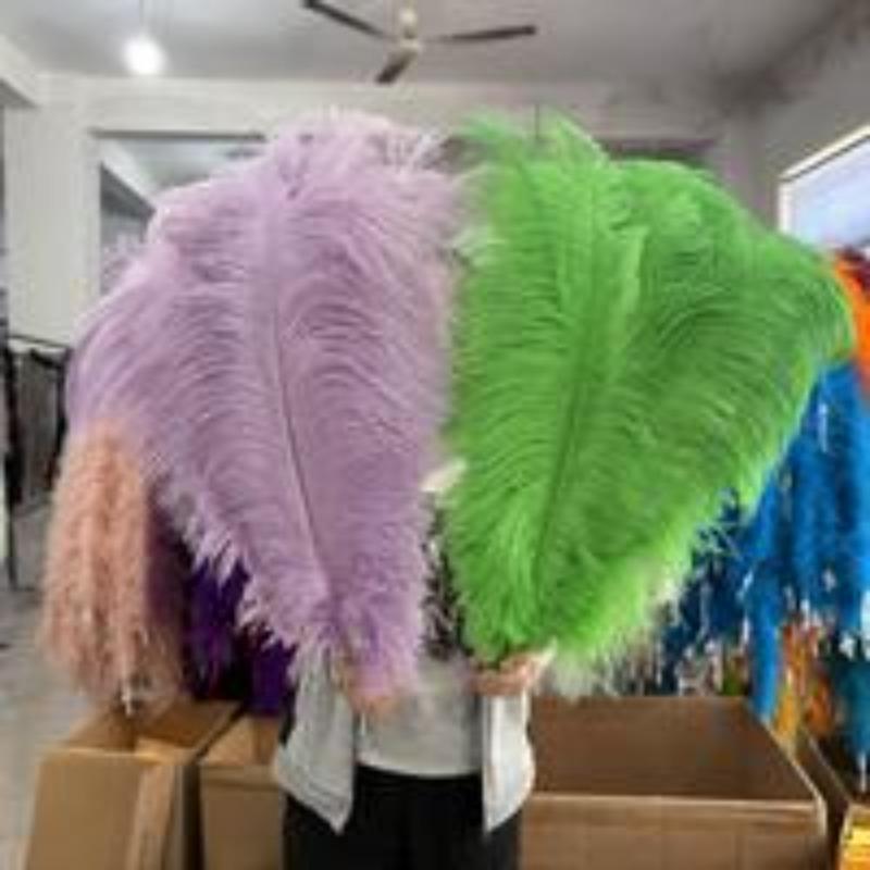 10 Stück 20-25cm Elegante Straußenfedern Große Flauschige Federn für Hochzeitsfeier Hauszimmer DIY Dekorationen