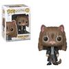 Harry Potter Hermione As Cat Pop! Vinyl