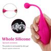 Wireless Control Panties Vibrator for Women G Spot Stimulate Vagina Clitors Massager Wearable Vibrating Egg Sex Toys for Adult