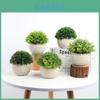 Lifelike Eucalyptus Plant Pot For Indoor Decor Durable Plastic Material Beautiful Texture