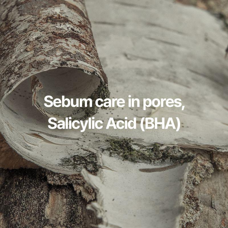 Pyunkang Yul Calming Acne Cleansing Foam 100ml