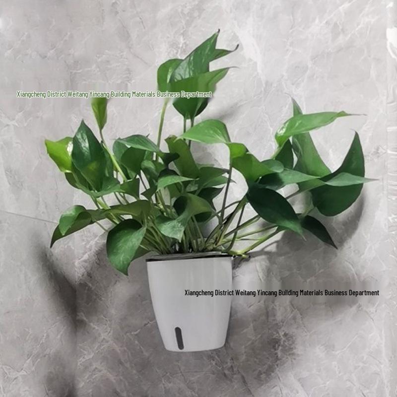 Self-Watering Hanging Flower Pot with Visible Water Level