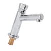 Bathroom Sink Faucet Single Handle Angled Delayed Faucet Water Tap for Home Hotel