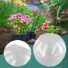 Single Clear Glass Bauble with Open Mouth for Succulent Plants Candle Holders Floral Designs and Home or Party Use