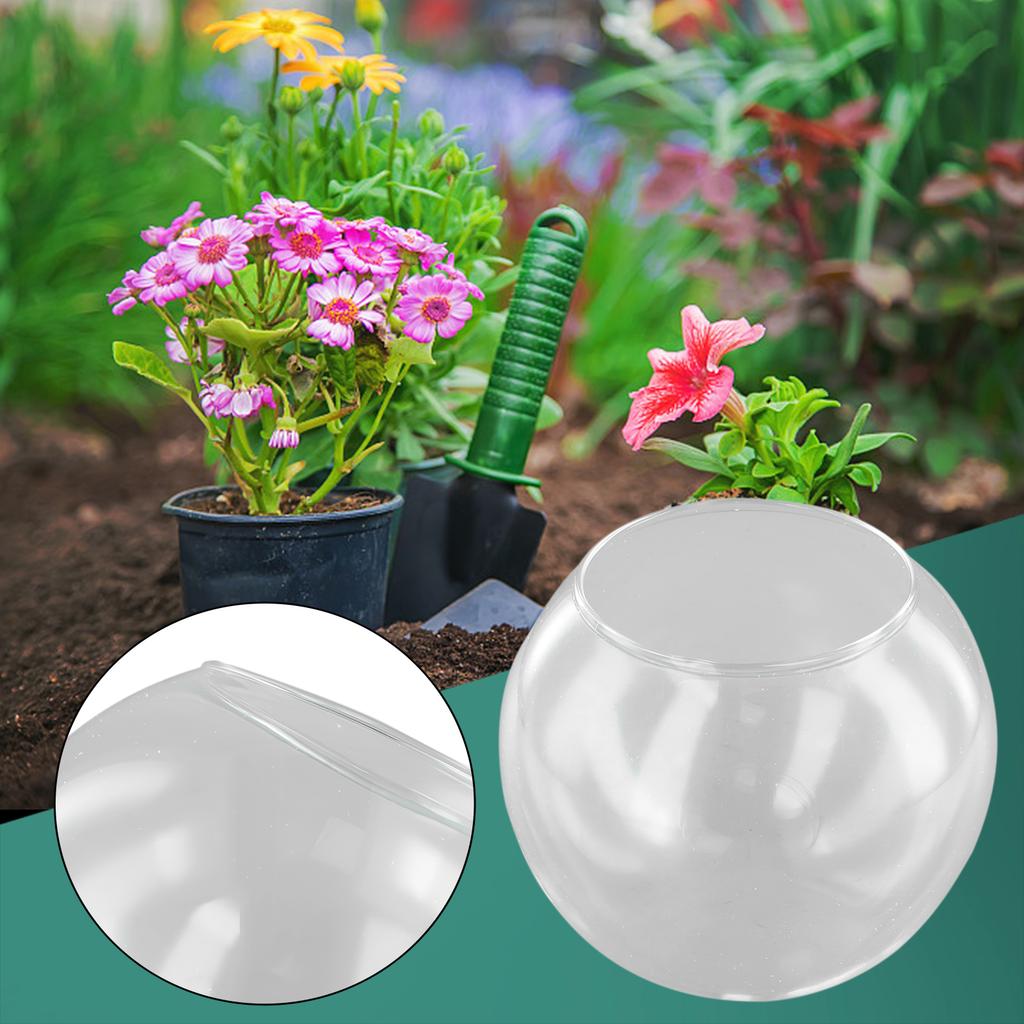 Single Clear Glass Bauble with Open Mouth for Succulent Plants Candle Holders Floral Designs and Home or Party Use