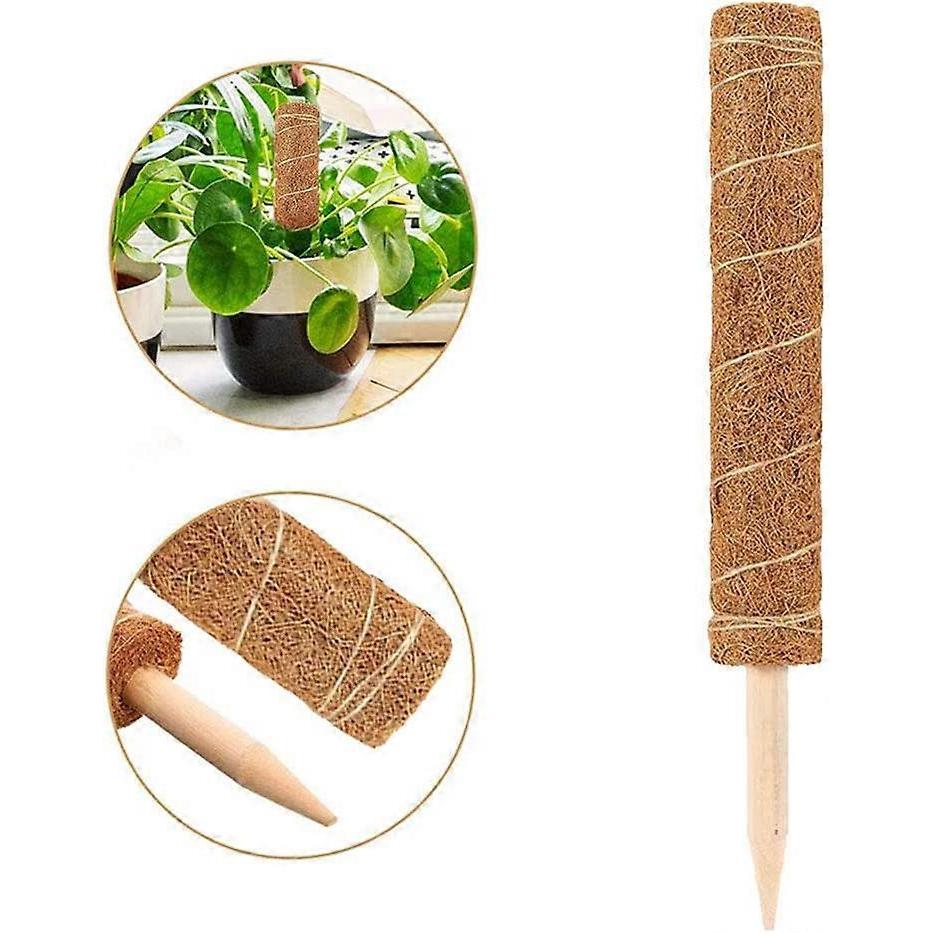 Set of 2 coconut stakes - For climbing plants - Natural coconut fiber - Extendable