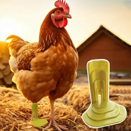 4 buc/set Orteza pentru picioare depărtate la pui, Imobilizator, Atelă, Esențial pentru prim ajutor păsări de curte, Atelă pentru picioarele rațelor pentru pui, gâsculițe și păsări juvenile