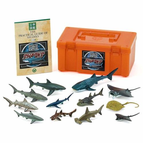 

Carolata 3D Illustrated Guide to Sharks (12 Figures / Includes Instruction Manual and Stand) Realistic Toy (Educational Toy) Birthday Gift (Food Sanit