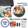 Canon Color A4 Mobile Printer TR153 (CompactWireless LAN Equipped5 Color Hybrid Ink) For Telework