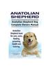 Kniha Anatolian Shepherd. Anatolian Shepherd Dog Complete Owners Manual. Anatolian Shepherd Book for Care, Costs, Feeding, Grooming, Health and Training.