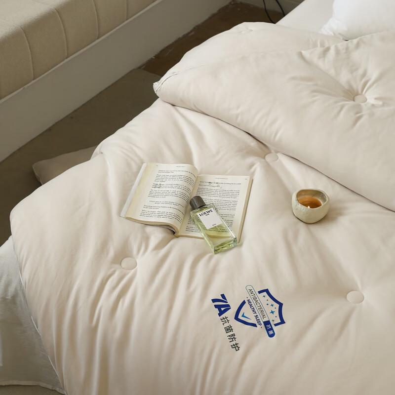 Southern Living 7A Antibacterial Skin-Friendly Winter Quilt