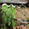 ABBP-Snake Climbing Rings, Ball Python Tank Accessories,Reptile Enclosure For Corn Snakes, Iguana, Bearded Dragon, Gecko