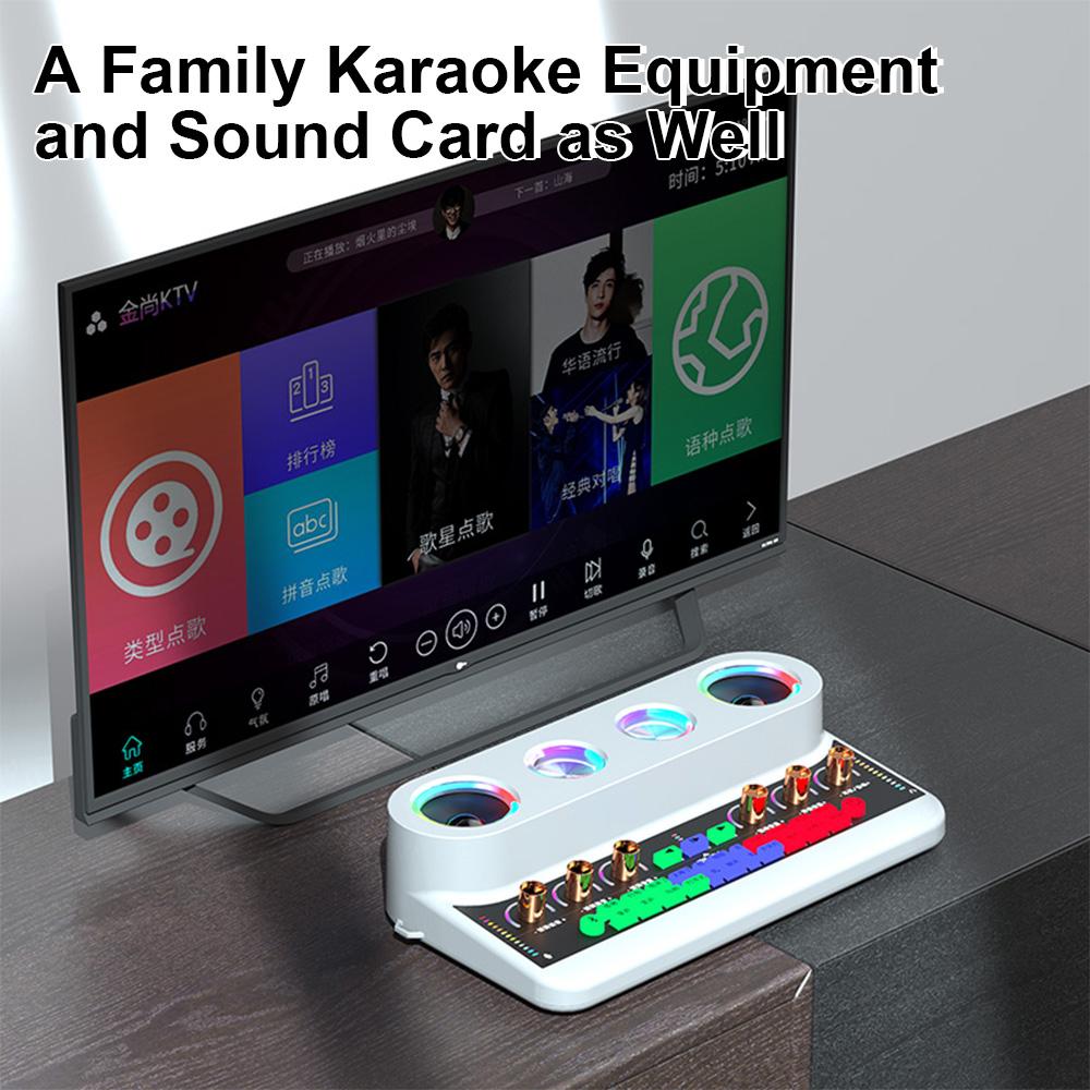 Sound Card & Audio Podcast Equipment Portable Karaoke Machine Multifunctional Rechargeable BT Sound