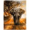 Elephant Blanket Gifts for Women Girls Super Soft Cozy Elephant Throw Blanket Warm Fuzzy Plush Fleece Bedding Decor Blanket