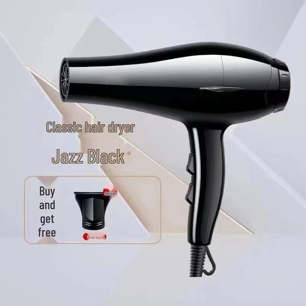 Высокомощный ионный фен для салонов, общежитий и домашнего использования