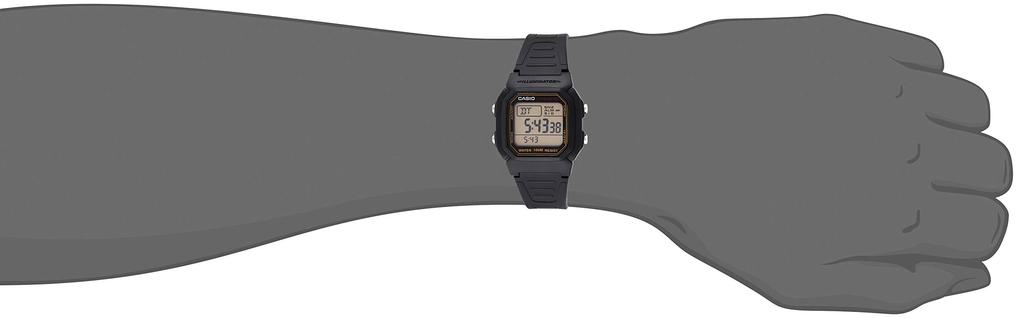 Casio Se oversjøisk modell W-800HG-9A herre [Reimportert]