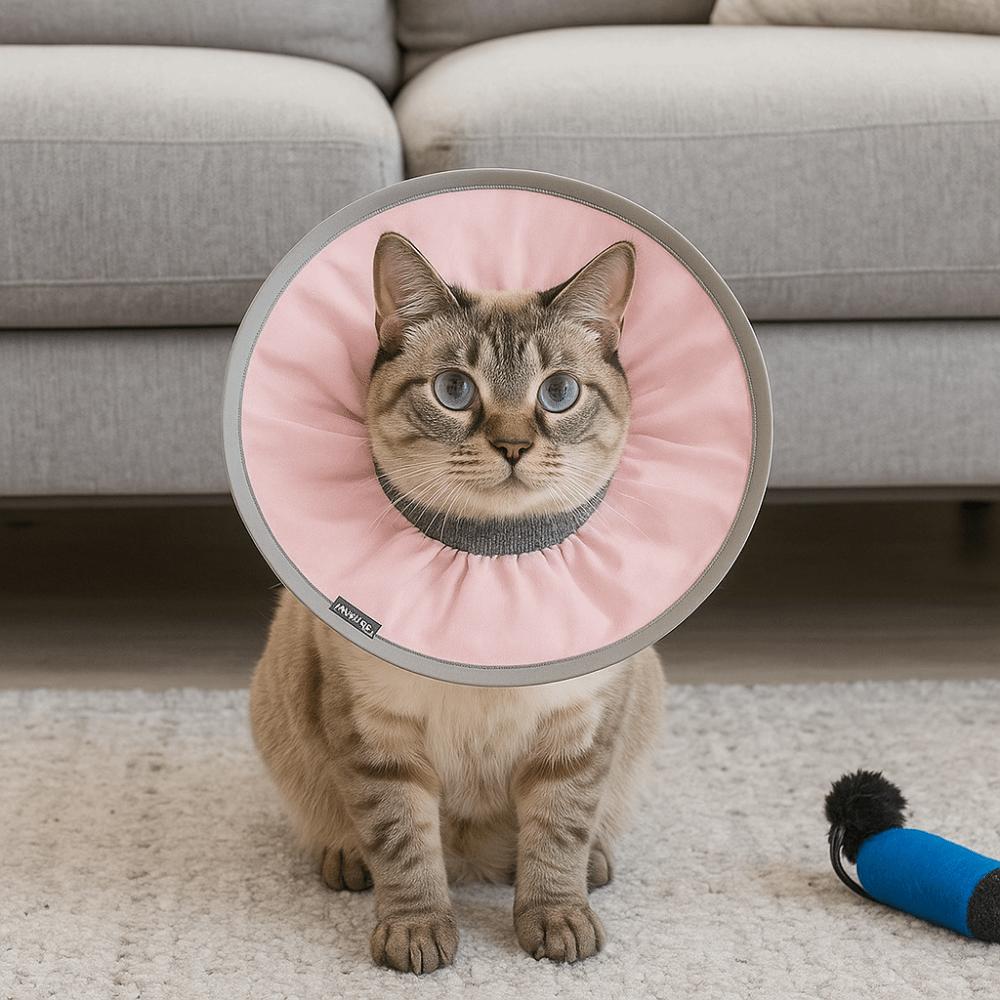 Anti-licking Pet Elizabethan Collar Anti Biting Waterproof Pet Grooming Collar Adjustable Soft Small Dog Headgear For Cats Dogs