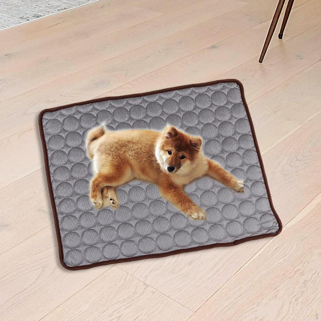 Chill Pup Cooling Mat - Ideal Resting Spot for Your Pet