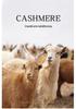 Slim-Fit Striped Cashmere Sweater for Women - Autumn/Winter 2026 Collection, Half-High Neck, Soft Solid Color Knitwear
