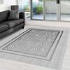 Washable Printed Carpet RVGHOME0017-SD839