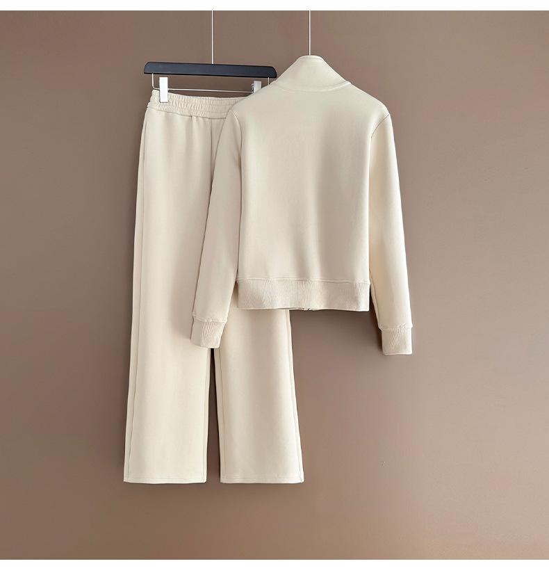 Women's Trendy Korean Style Casual Sports Suit: Plush Stand Collar Jacket & Wide-Leg Pants Two-Piece Set for Spring/Autumn 2026.