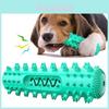 Tpr Quietschie Hundespielzeug mit Kauspielzeug für Welpen Zahnpflege