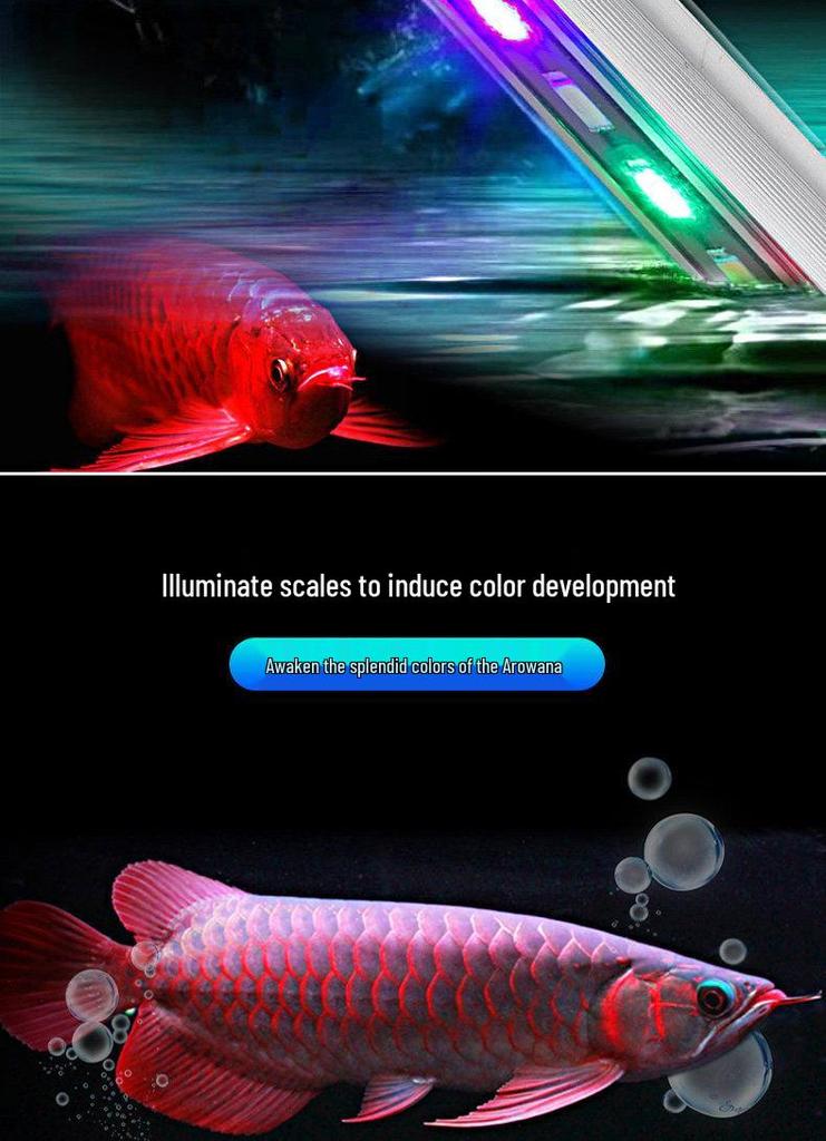 LED Fish Tank Light: Waterproof, Super Bright, Submersible Aquarium Light for Arowana.