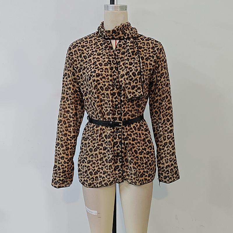 Dámské tričko s dlouhým rukávem a výstřihem do V, jarní a podzimní halenka s leopardím potiskem, elegantní topy