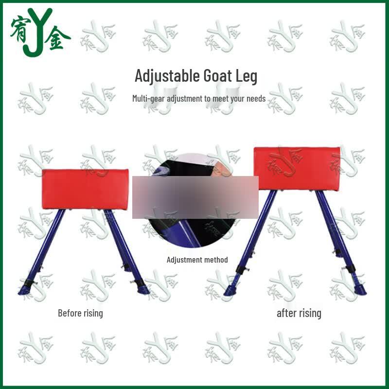 Gymnastics Vaulting Horse
