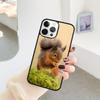 squirrel Guinea Pig Mouse Phone Case For IPhone 18 17 Air 16 15 14 11 12 13 Pro  MAX Plus coque Cover Shell