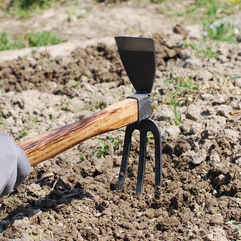 KAZZ Dual-Purpose Gardening Hoe and Rake CN plug (adapter included)