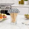 100 Pcs Golf Cocktail Picks, Fancy Toothpicks for Appetizers, Wooden Fruit Skewers Bamboo Food Sticks for Sandwich, Golf Themed Party Decorations