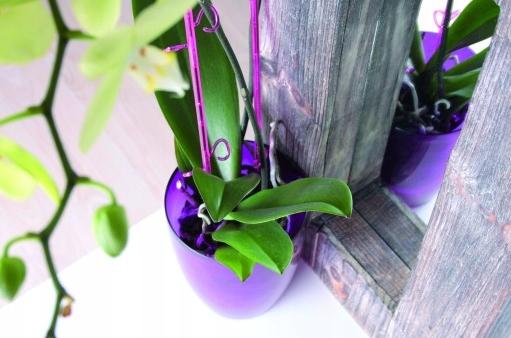 Coubi round flowerpot, transparent, 16x183cm