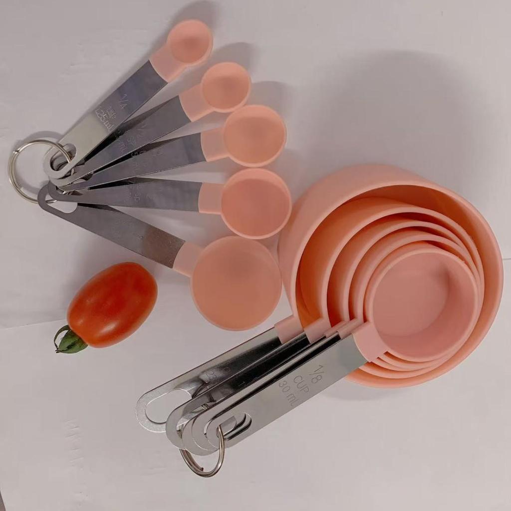 10-Piece Stainless Steel & Plastic Measuring Cup and Spoon Set for Baking and Cooking