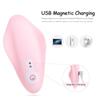 Vibrating Panties Wearable Clit Stimulator G-Spot Vibrator Wireless Remote Control Sex Toy for Women