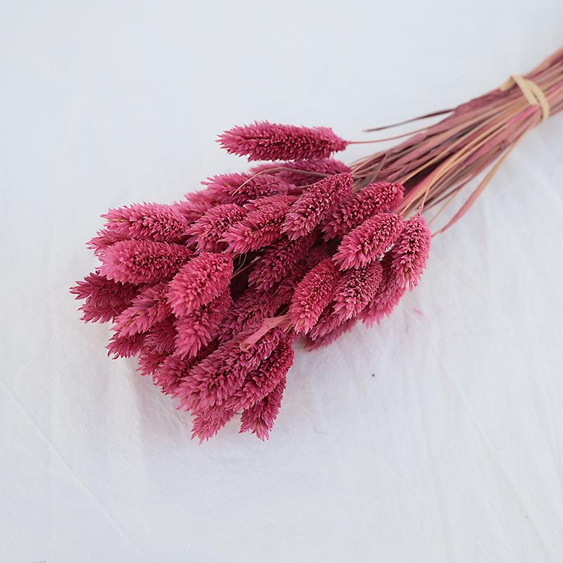 Natural Dried Statice Flower Bouquet - Everlasting Decoration for Vase & DIY Arrangements