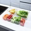 Salad Storage Box Outdoor Party Picnic Compartment Ice Box Salad Tray Home Plastic Fresh-keeping Box