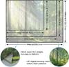 Aesthetic Sunlit Forest Path Tapestry, Lush Green Trees Blooming Flowers Nature Wall Hanging, Rustic Zen Landscape Tapestry
