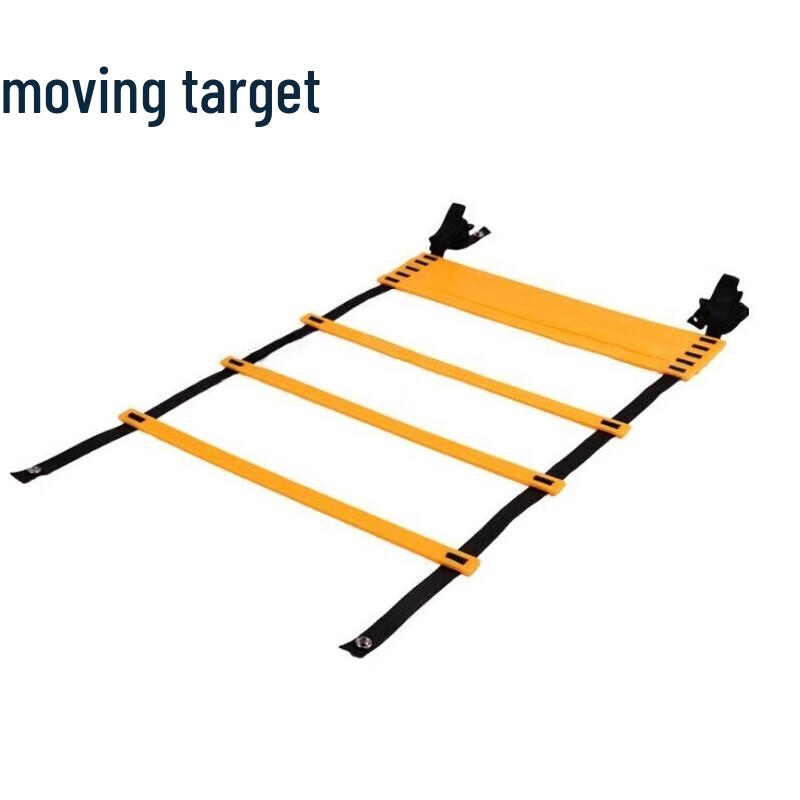 Agility Speed Training Ladder