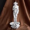Venus Goddess Sculpture, Matte White Resin Venus Figurine, European Style Artistic Desktop Decoration for Living Room Study Room Home Office Decor