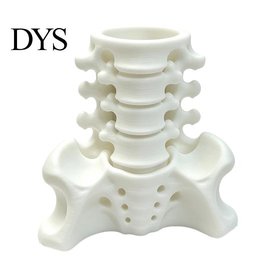 PLA Desk Storage Simulated Spine Pen Holder, Creative Skeleton Desktop Organizer, Durable Scientific Ornament 3D Printed Anatomy for Home Office Model