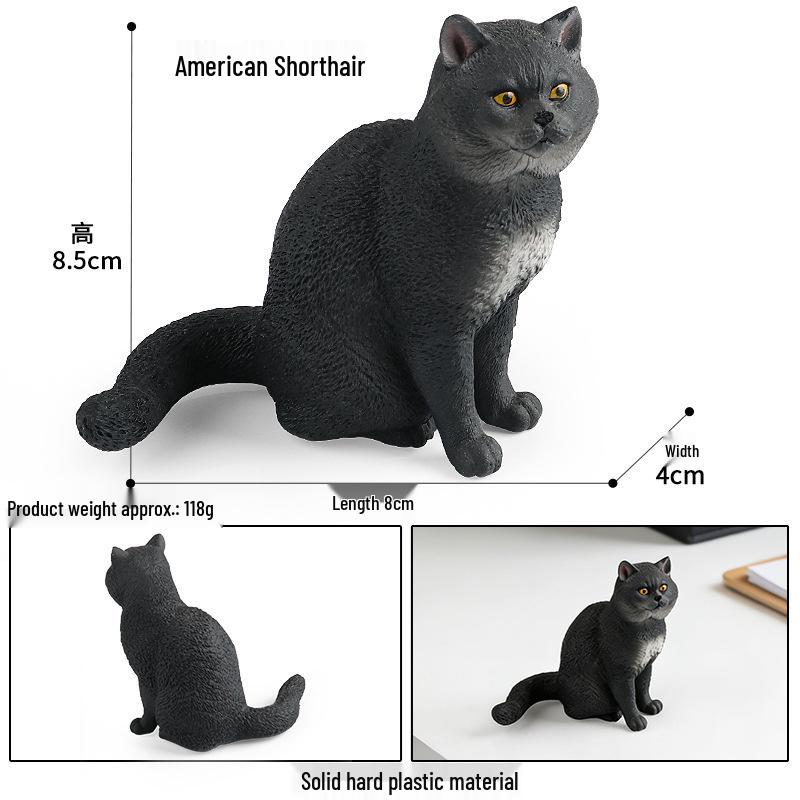 Solid Orange Persian, Ragdoll, Somali, and Blue Short-haired Cat Simulation Models
