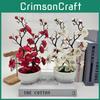 Praecox Flower Chimonanthus Basin Decorative Potted Plant For Home Office Gift