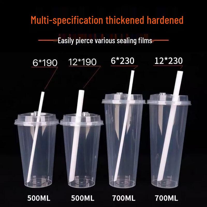 ZISIZ PLA Biodegradable Disposable Straws