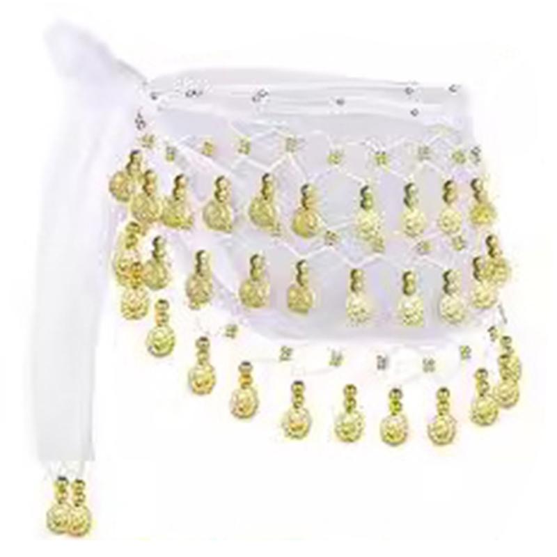 Belly Dance Accessories,Belly Dance Hip Scarf Wrap Belt,Coin Drop Earrings Hair Chain Bracelet Gypsy Costume for Women
