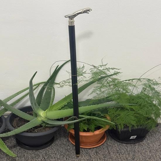 Classic Style Jaguar Handle Black Wooden Walking Stick Cane