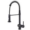 TLXT Stainless Steel Spring Kitchen Faucet